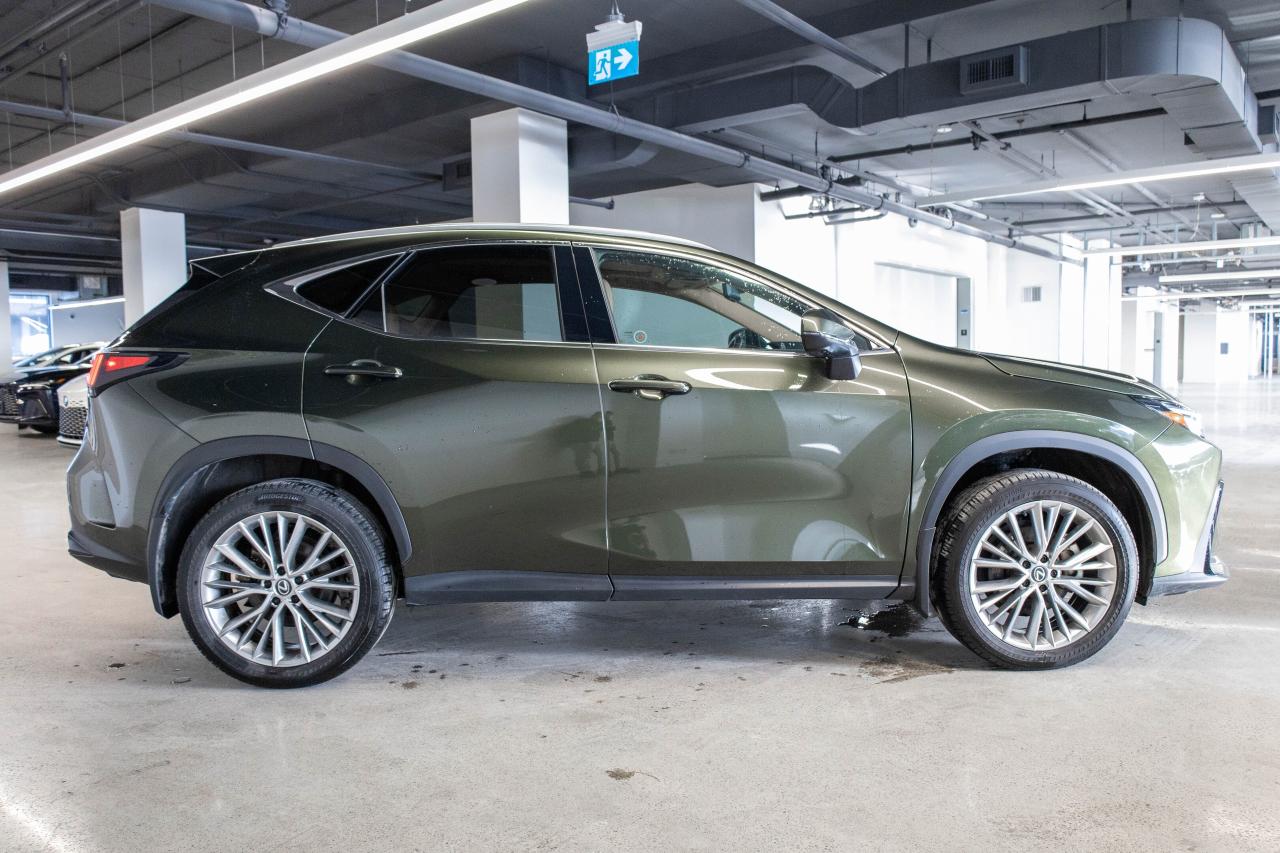 2024 Lexus NX 350h Ultra Luxury Lexus Certified Welcome Trades Photo