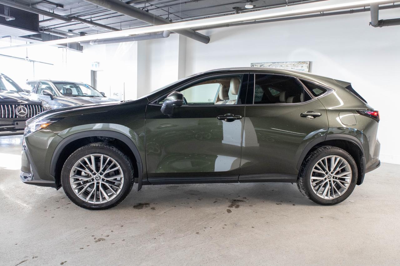2024 Lexus NX 350h Ultra Luxury Lexus Certified Welcome Trades Photo