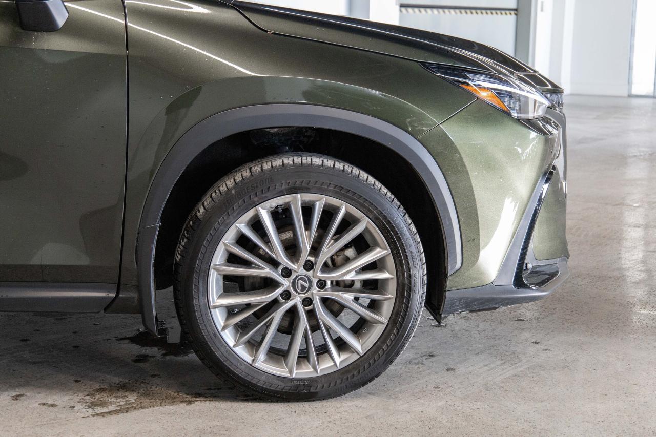 2024 Lexus NX 350h Ultra Luxury Lexus Certified Welcome Trades Photo