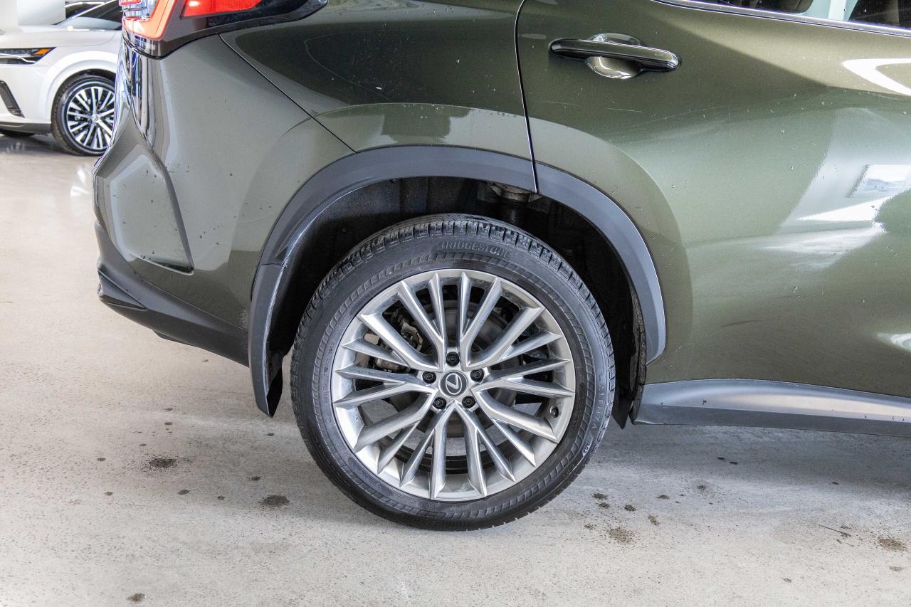 2024 Lexus NX 350h Ultra Luxury Lexus Certified Welcome Trades Photo