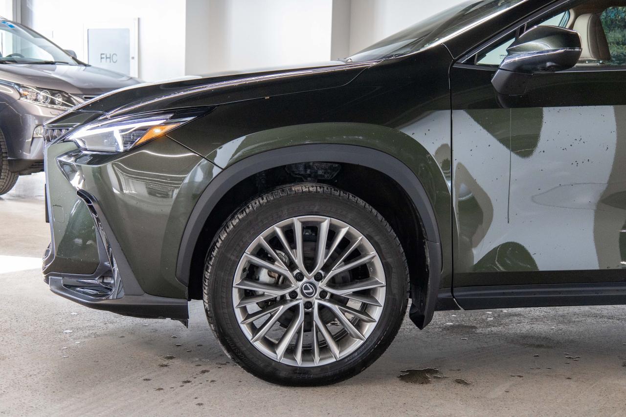 2024 Lexus NX 350h Ultra Luxury Lexus Certified Welcome Trades Photo