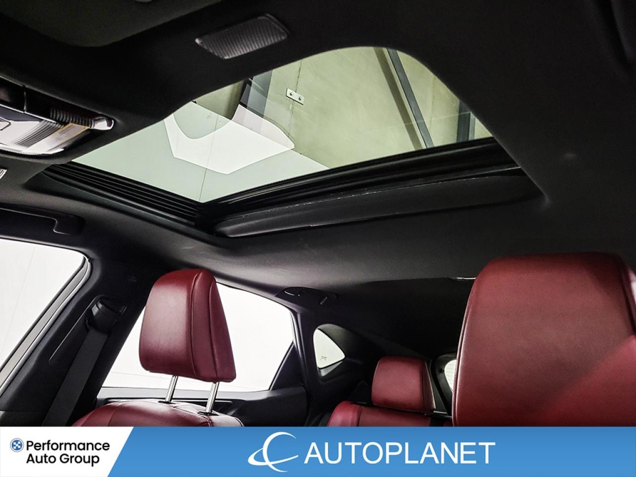 2024 Lexus NX 350 Premium AWD - FINANCE @$157/WK OR LEASE @$191/WK Photo