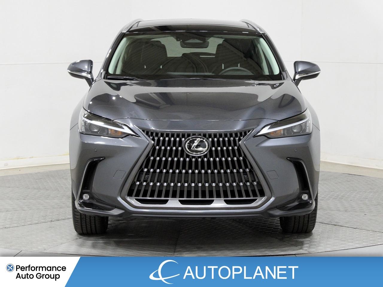 2024 Lexus NX 350h Luxury AWD - FINANCE @$162/WK OR LEASE @$195/WK Photo