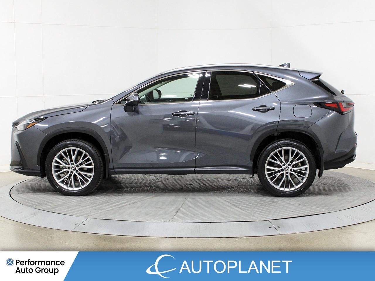 2024 Lexus NX 350h Luxury AWD - FINANCE @$162/WK OR LEASE @$195/WK Photo