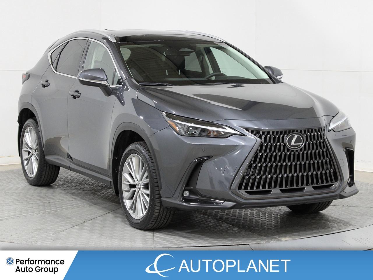 2024 Lexus NX 350h Luxury AWD - FINANCE @$162/WK OR LEASE @$195/WK Photo2