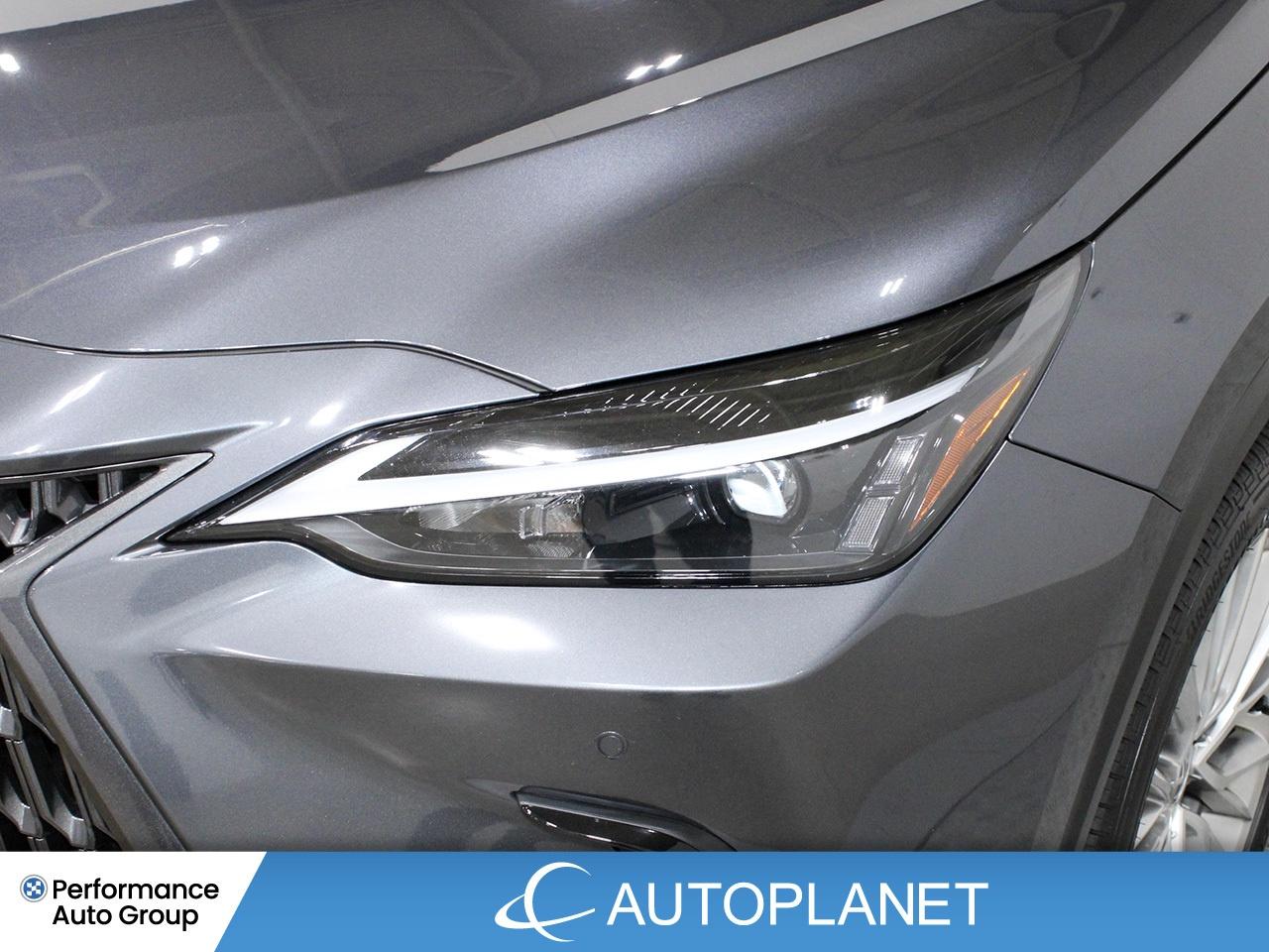 2024 Lexus NX 350h Luxury AWD - FINANCE @$162/WK OR LEASE @$195/WK Photo