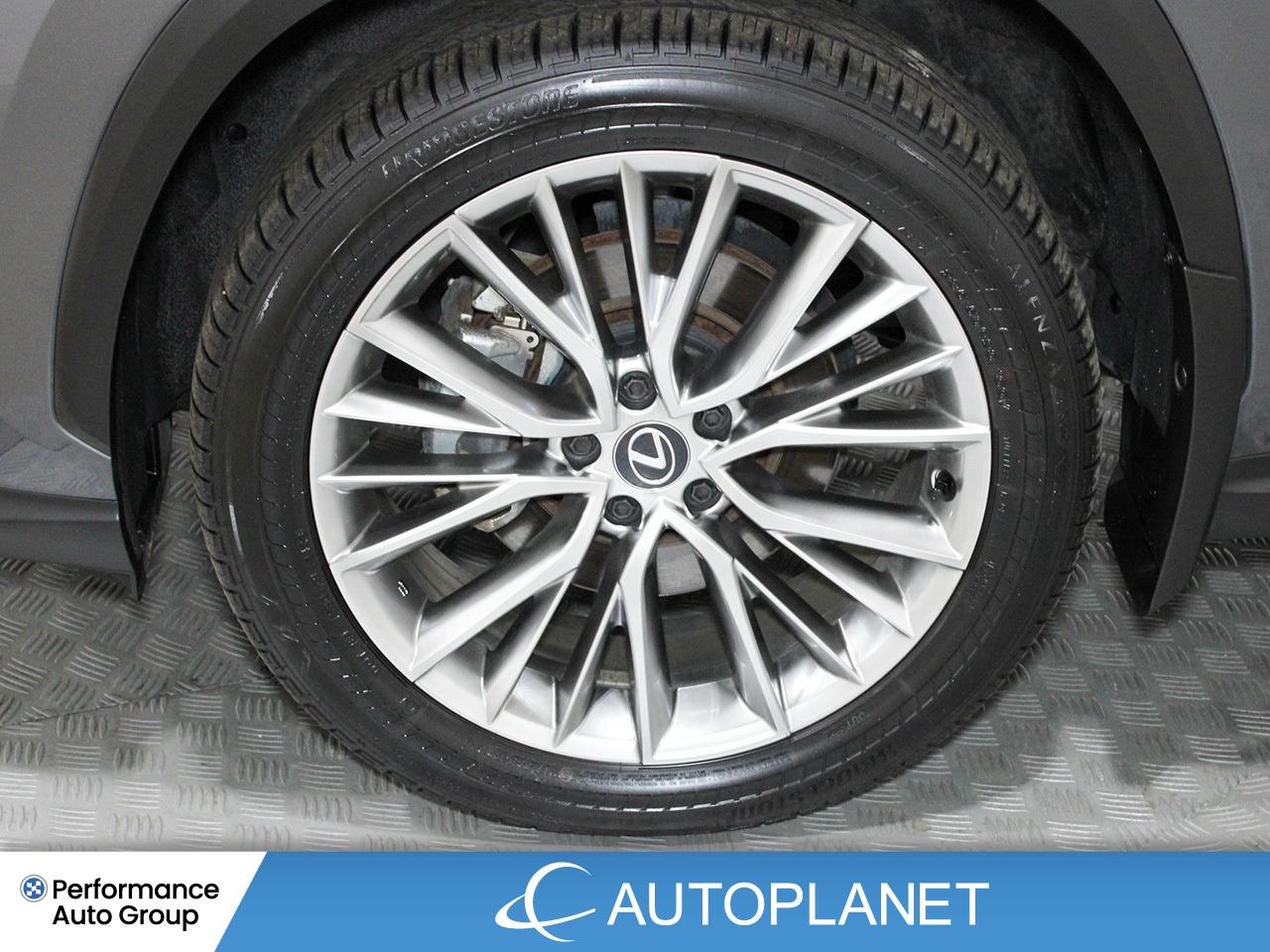 2024 Lexus NX 350h Luxury AWD - FINANCE @$162/WK OR LEASE @$195/WK Photo