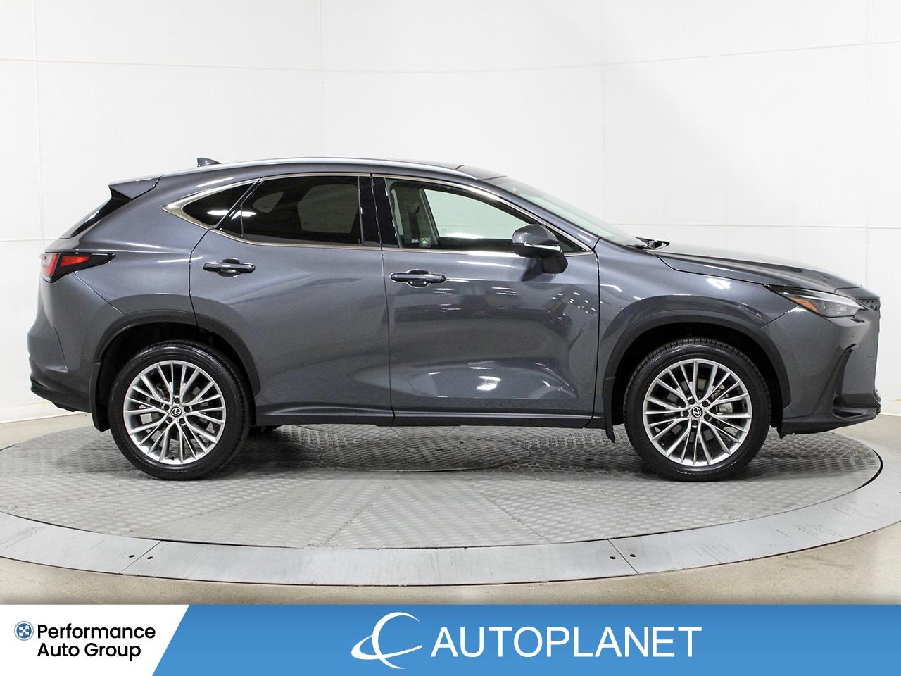 2024 Lexus NX 350h Luxury AWD - FINANCE @$162/WK OR LEASE @$195/WK Photo