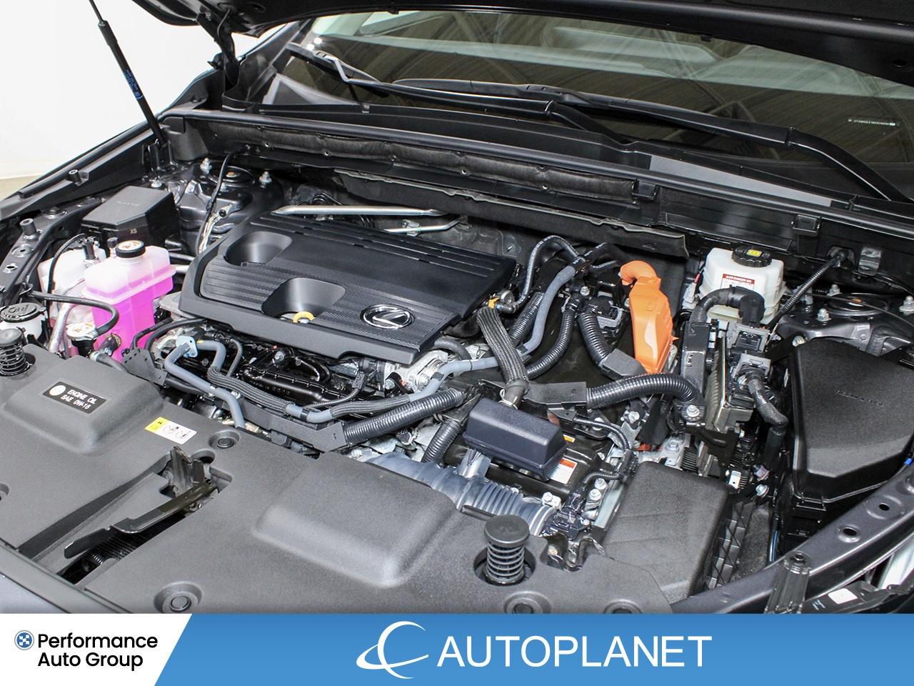 2024 Lexus NX 350h Luxury AWD - FINANCE @$162/WK OR LEASE @$195/WK Photo