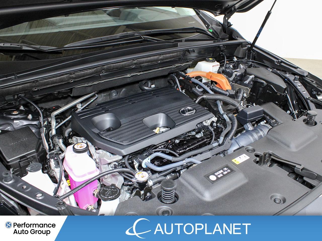 2024 Lexus NX 350h Luxury AWD - FINANCE @$162/WK OR LEASE @$195/WK Photo