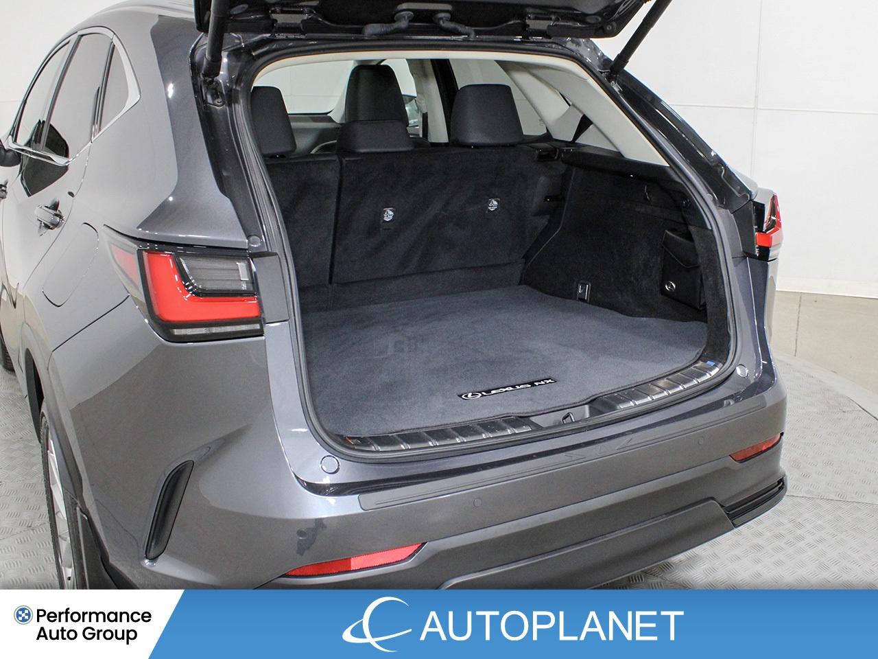 2024 Lexus NX 350h Luxury AWD - FINANCE @$162/WK OR LEASE @$195/WK Photo