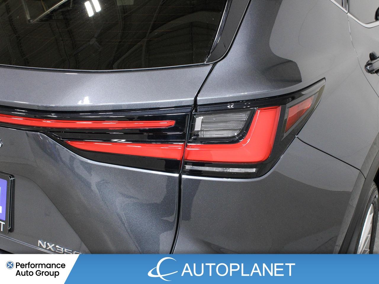 2024 Lexus NX 350h Luxury AWD - FINANCE @$162/WK OR LEASE @$195/WK Photo