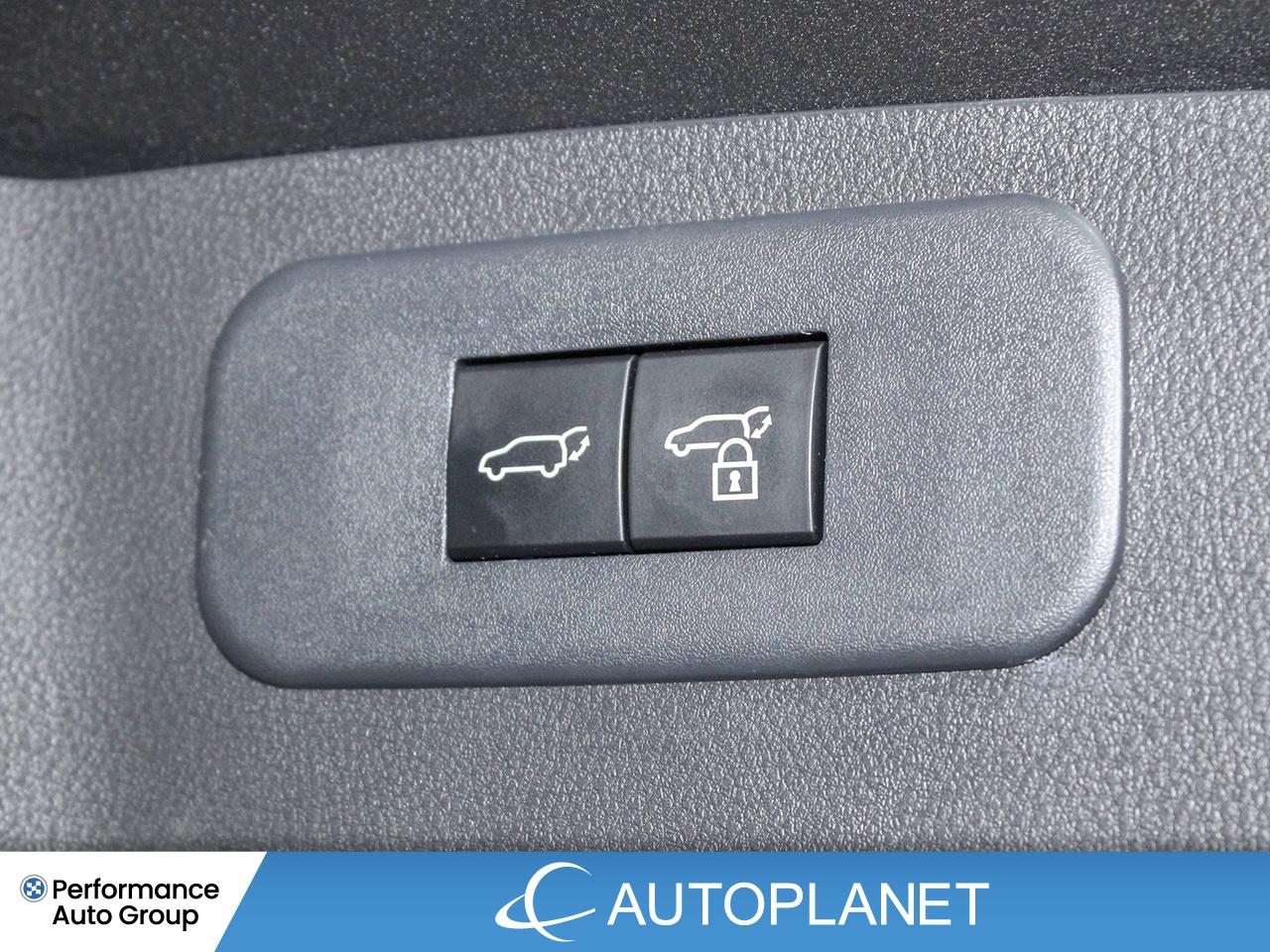 2024 Lexus NX 350h Luxury AWD - FINANCE @$162/WK OR LEASE @$195/WK Photo