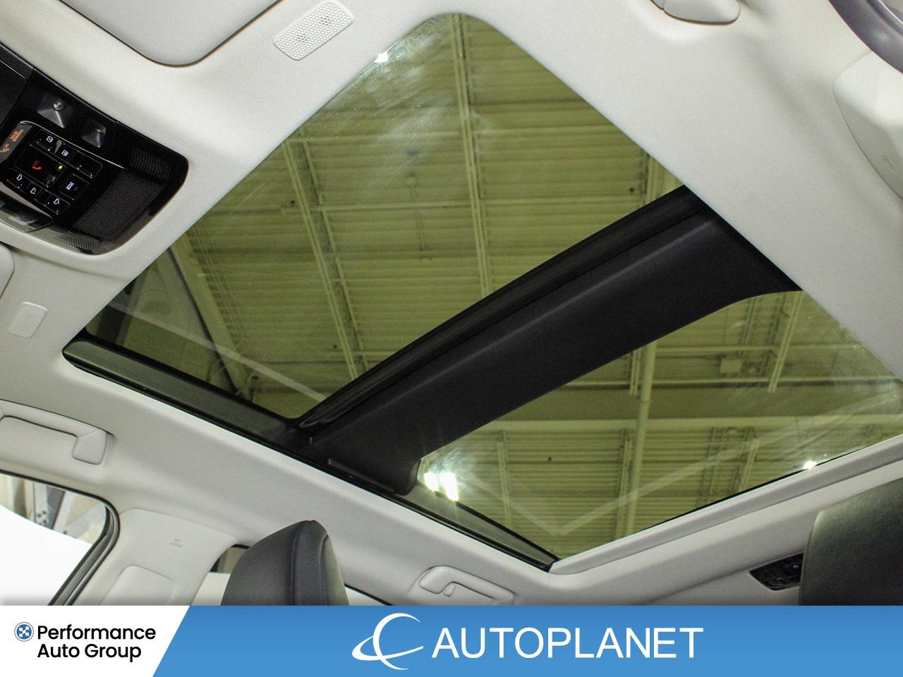 2024 Lexus NX 350h Luxury AWD - FINANCE @$162/WK OR LEASE @$195/WK Photo