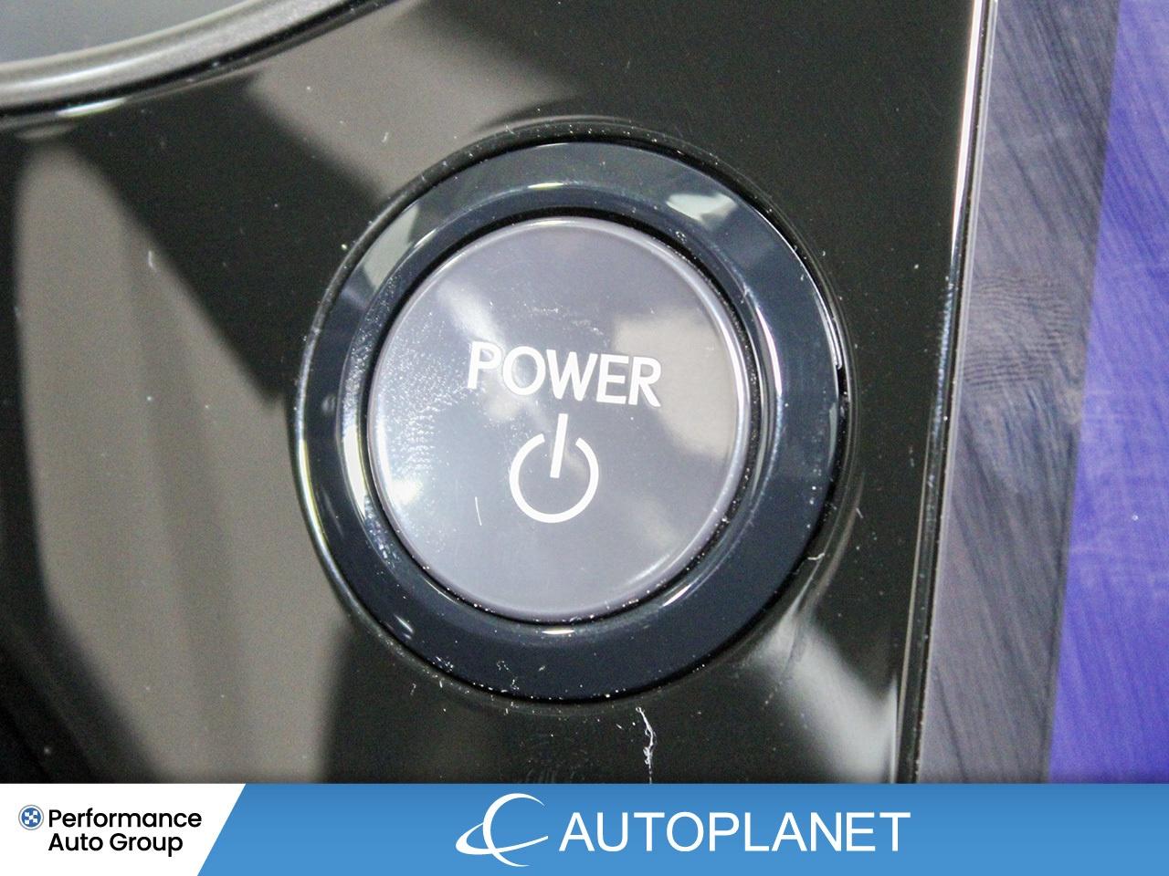 2024 Lexus NX 350h Luxury AWD - FINANCE @$162/WK OR LEASE @$195/WK Photo