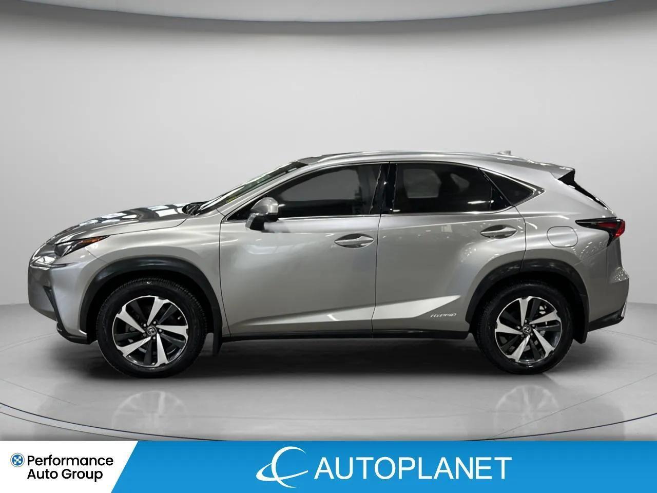 2021 Lexus NX 300h Executive AWD, Navi, Sunroof, Heads Up Display! Photo3