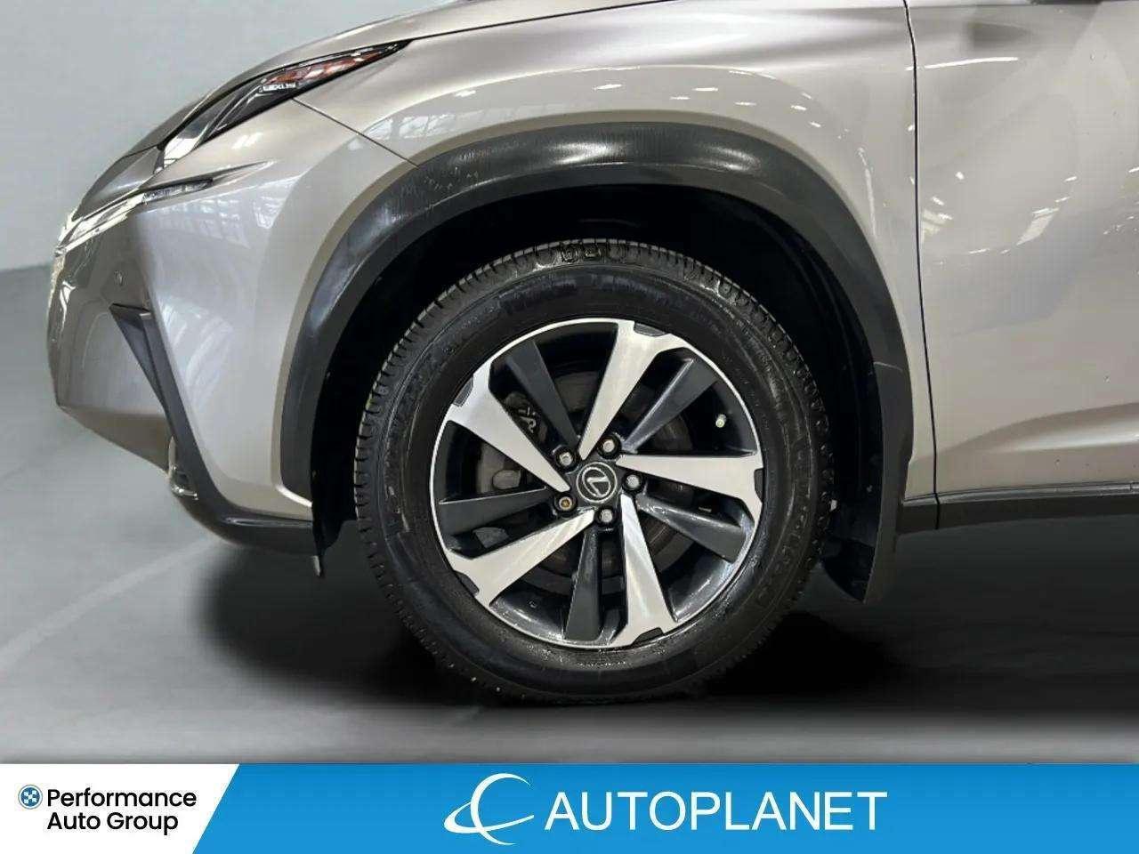 2021 Lexus NX 300h Executive AWD, Navi, Sunroof, Heads Up Display! Photo