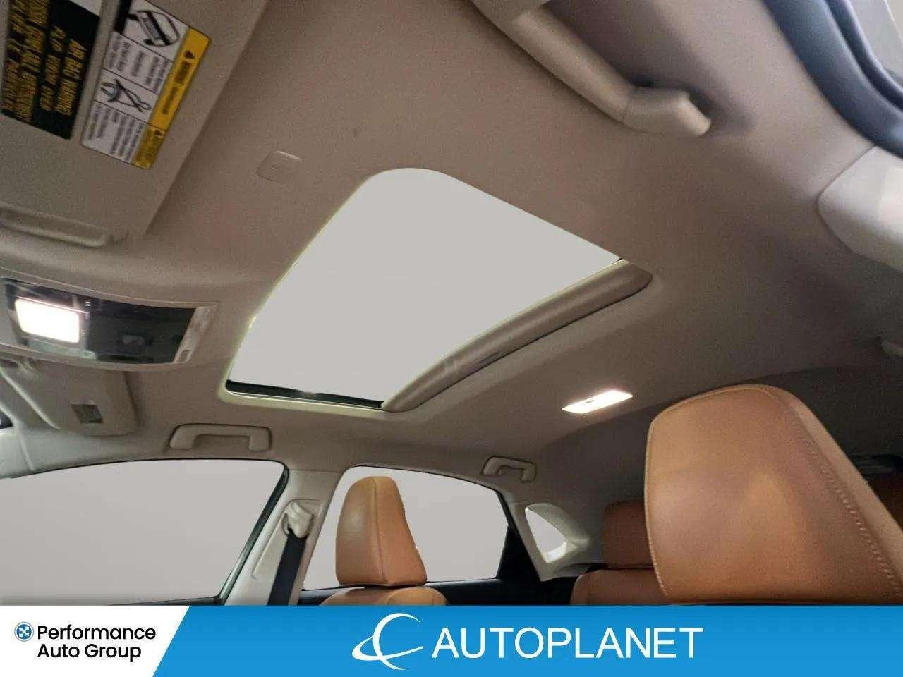 2021 Lexus NX 300h Executive AWD, Navi, Sunroof, Heads Up Display! Photo