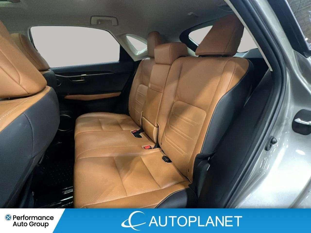 2021 Lexus NX 300h Executive AWD, Navi, Sunroof, Heads Up Display! Photo