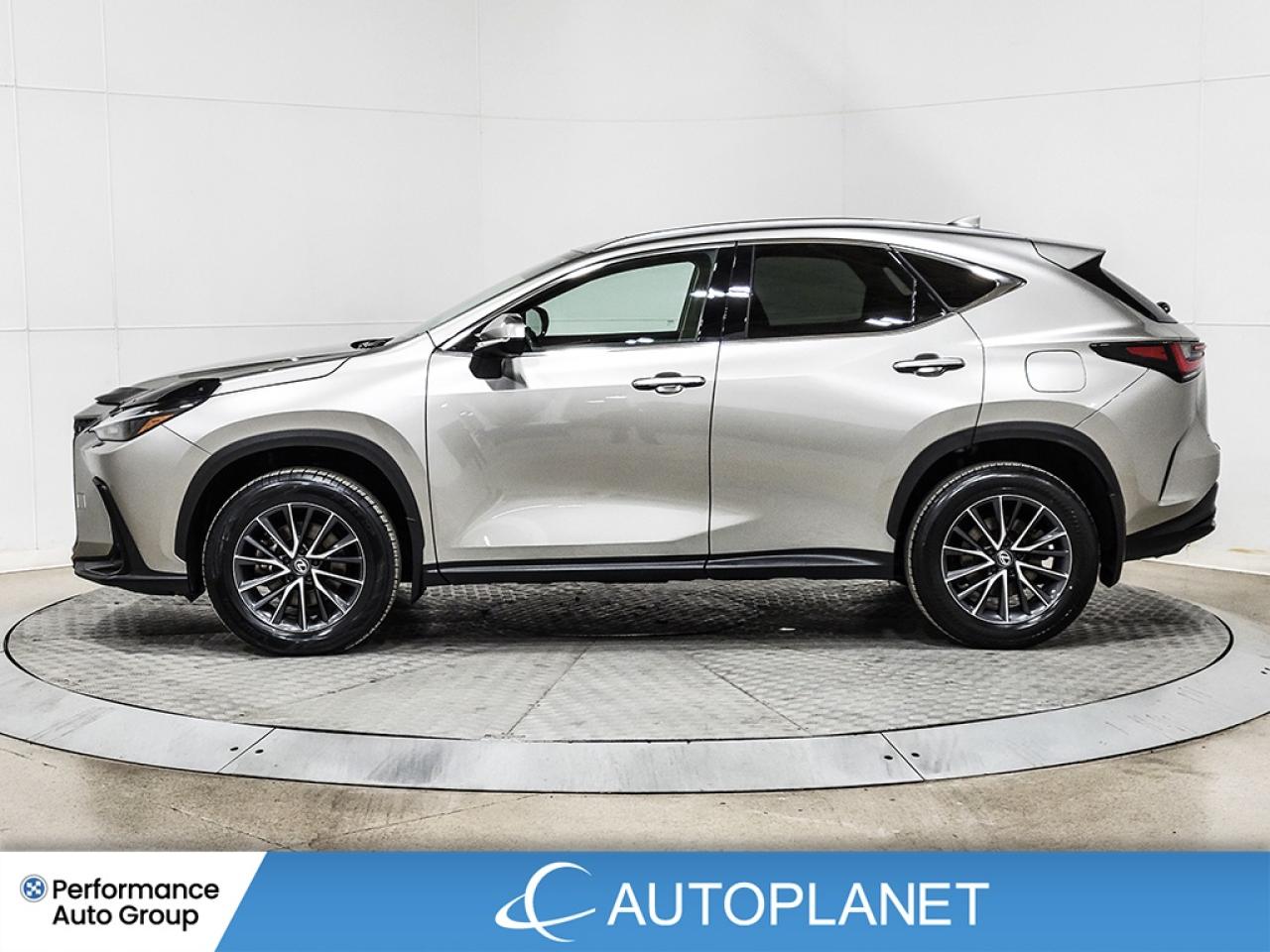 2024 Lexus NX 350h Premium AWD, Sunroof, Heated Seats, Android Auto! Photo4