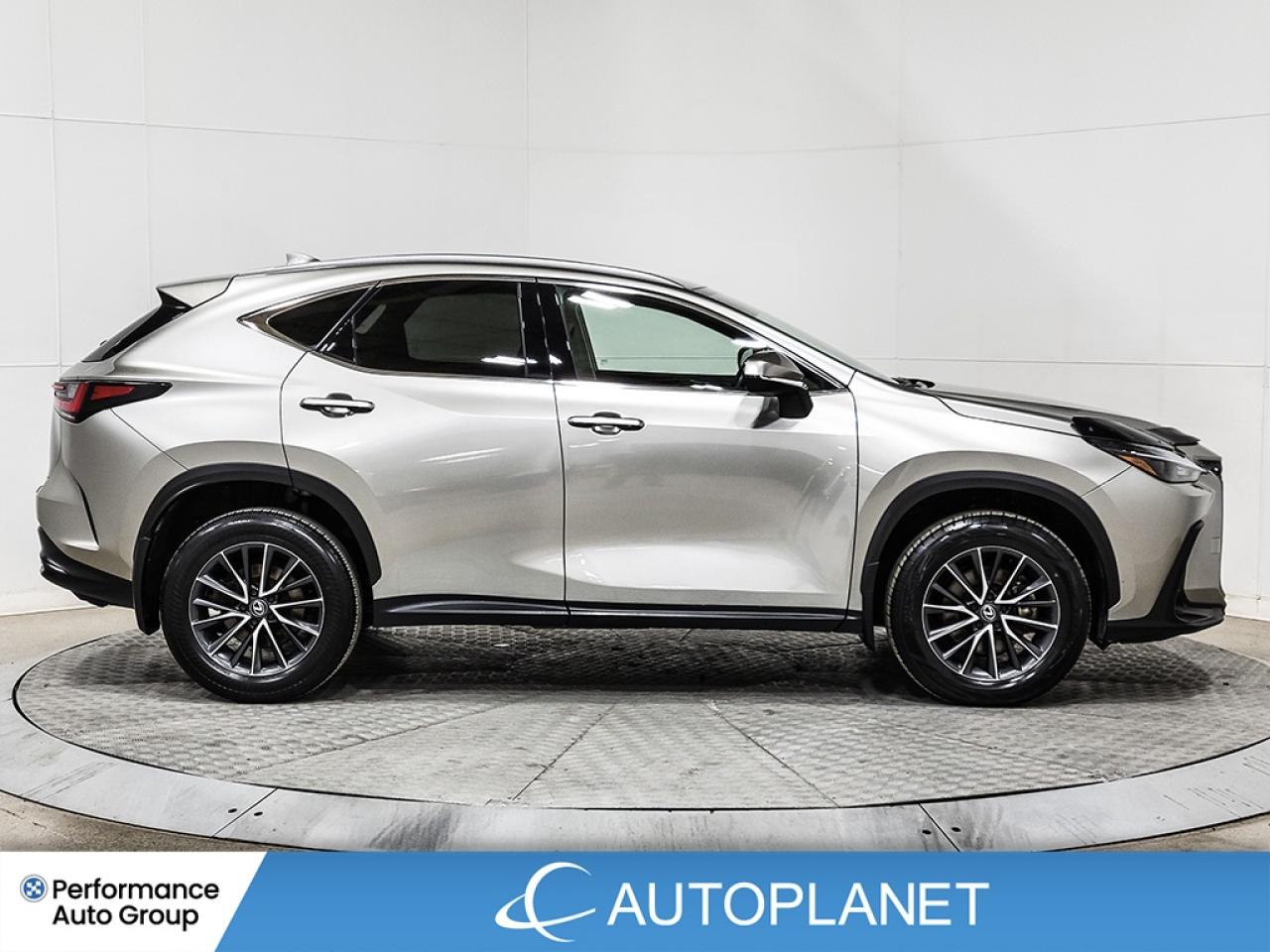 2024 Lexus NX 350h Premium AWD, Sunroof, Heated Seats, Android Auto! Photo