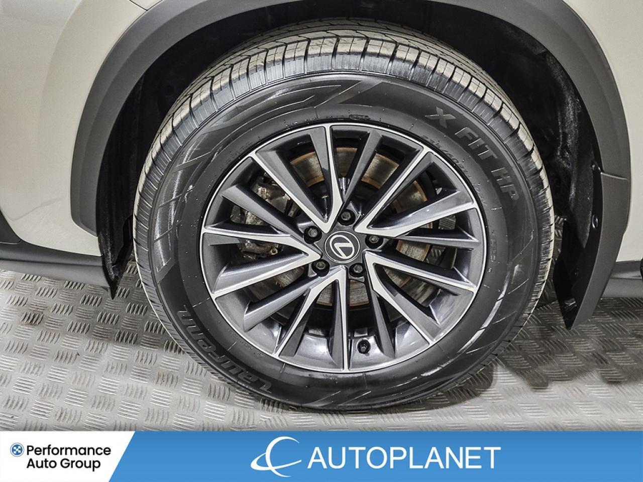 2024 Lexus NX 350h Premium AWD, Sunroof, Heated Seats, Android Auto! Photo