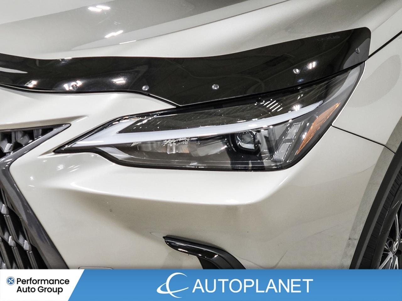 2024 Lexus NX 350h Premium AWD, Sunroof, Heated Seats, Android Auto! Photo