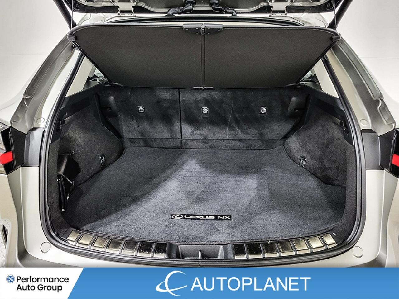 2024 Lexus NX 350h Premium AWD, Sunroof, Heated Seats, Android Auto! Photo