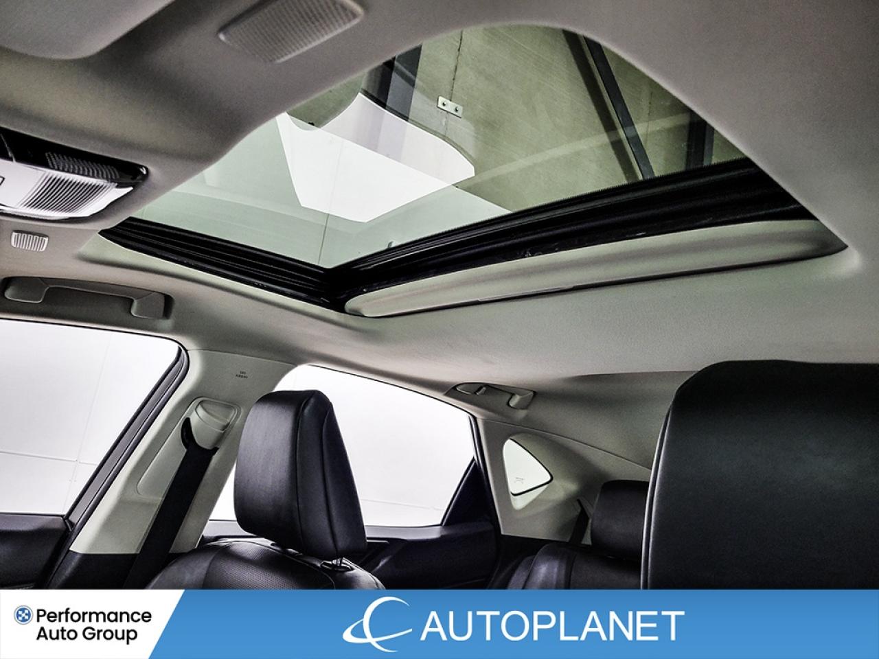 2024 Lexus NX 350h Premium AWD, Sunroof, Heated Seats, Android Auto! Photo