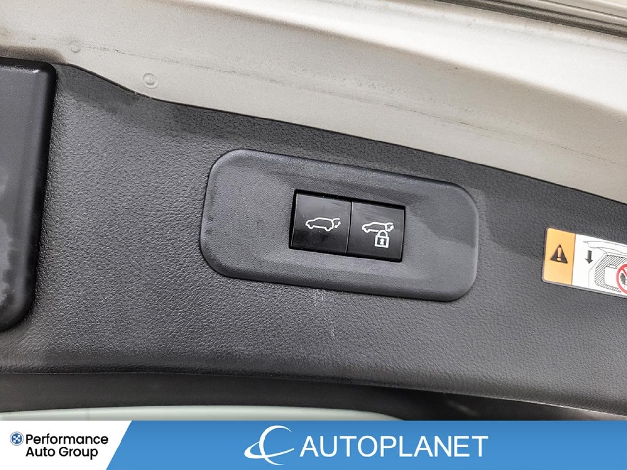 2024 Lexus NX 350h Premium AWD, Sunroof, Heated Seats, Android Auto! Photo