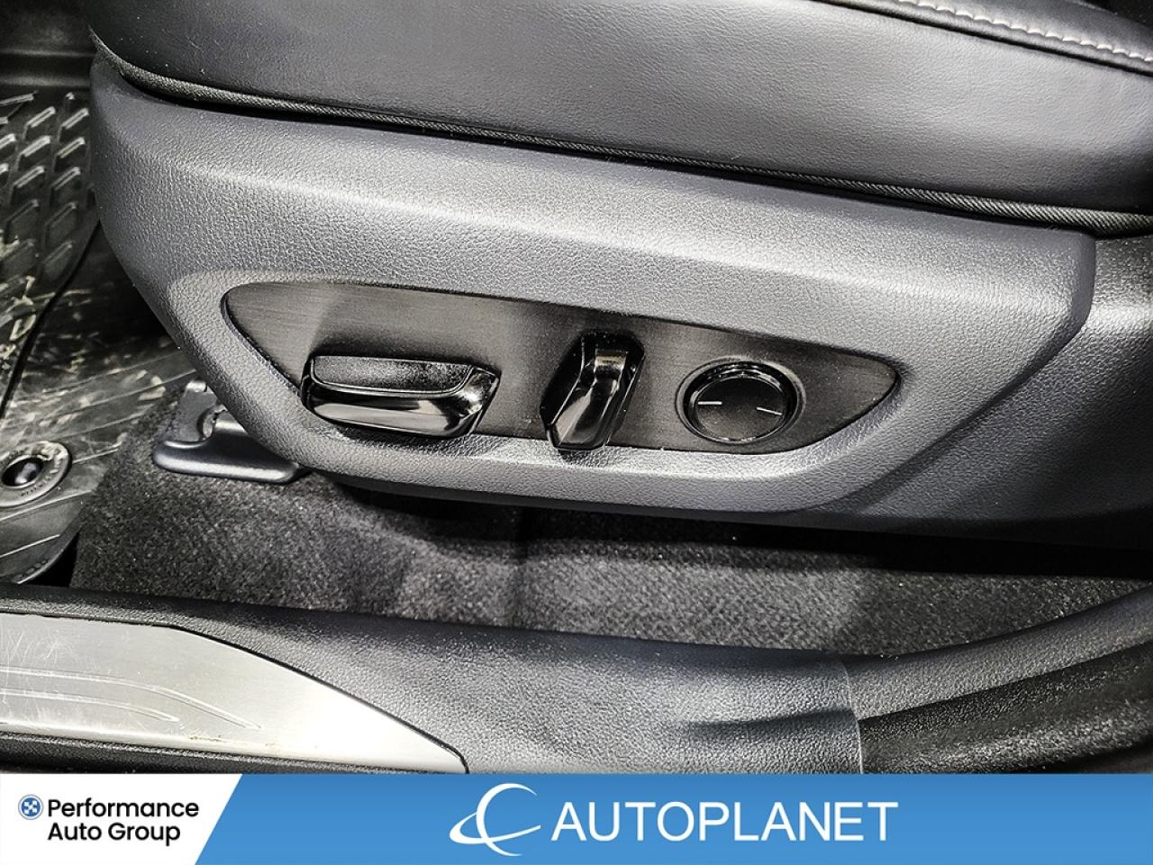 2024 Lexus NX 350h Premium AWD, Sunroof, Heated Seats, Android Auto! Photo