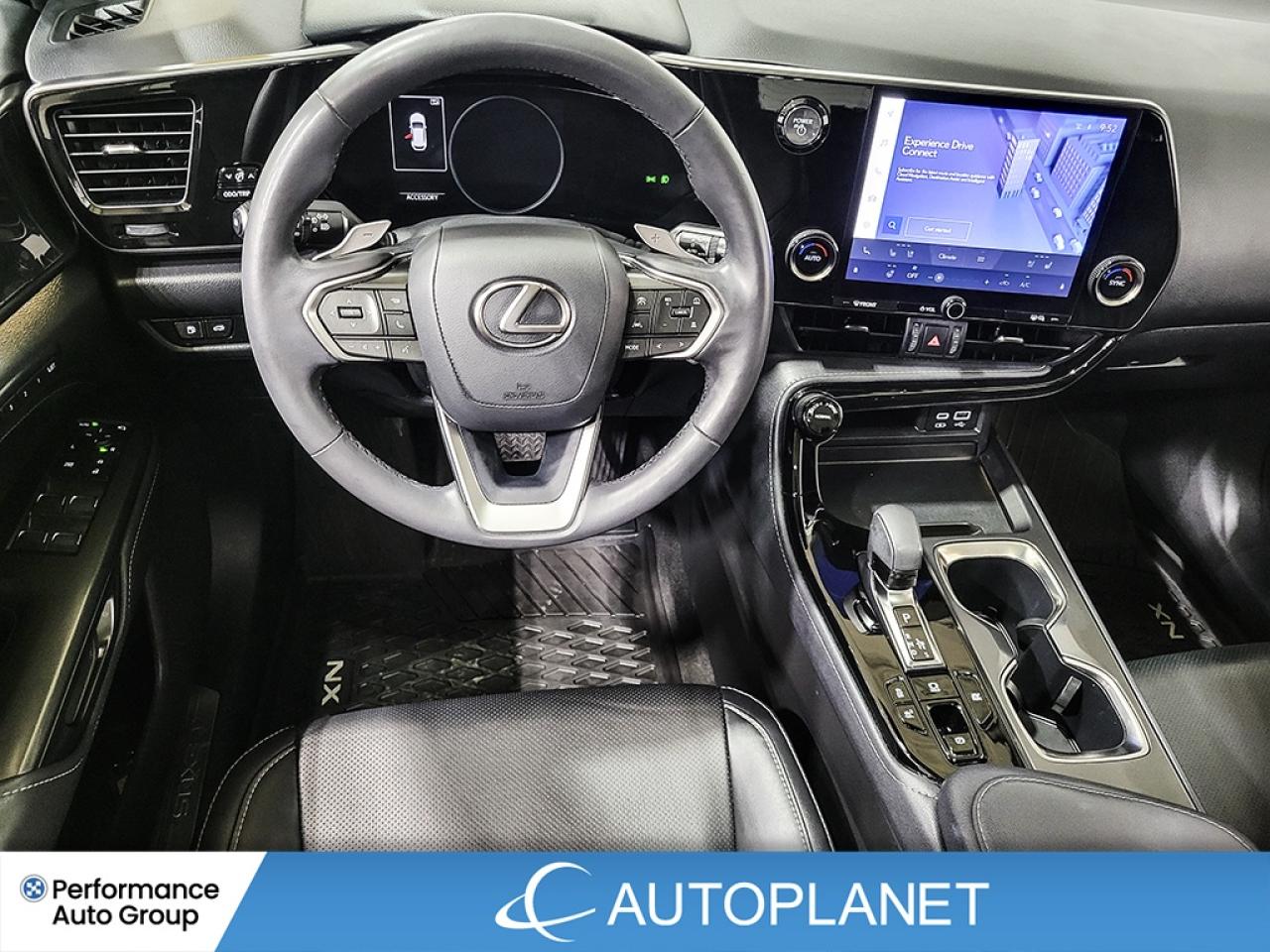 2024 Lexus NX 350h Premium AWD, Sunroof, Heated Seats, Android Auto! Photo