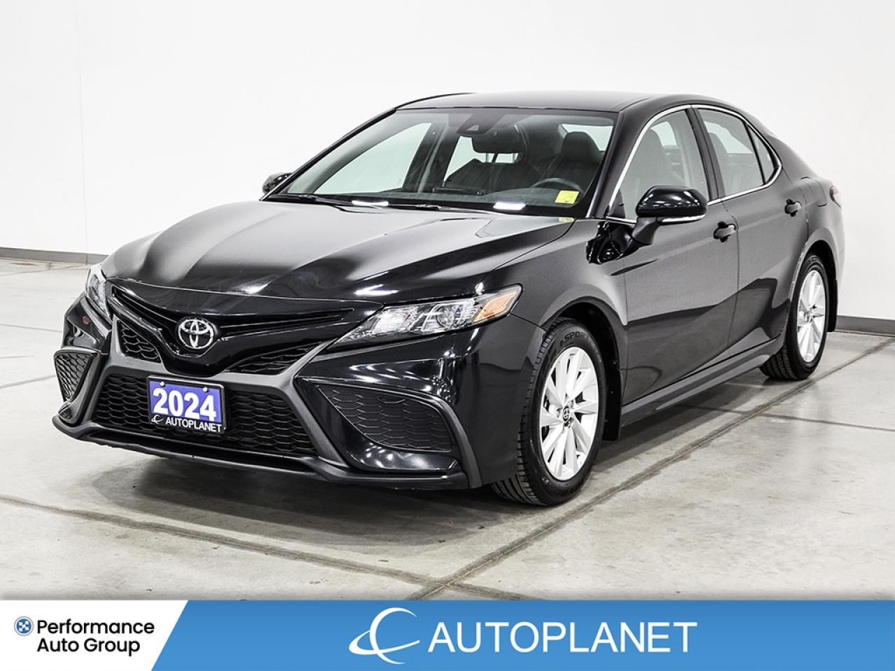 2024 Toyota Camry SE, Android Auto, Toyota Safety Sense,Heated Seats Photo