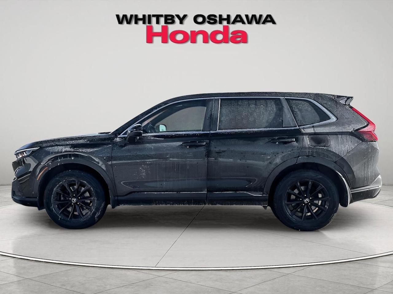 2024 Honda CR-V Hybrid EX-L Photo