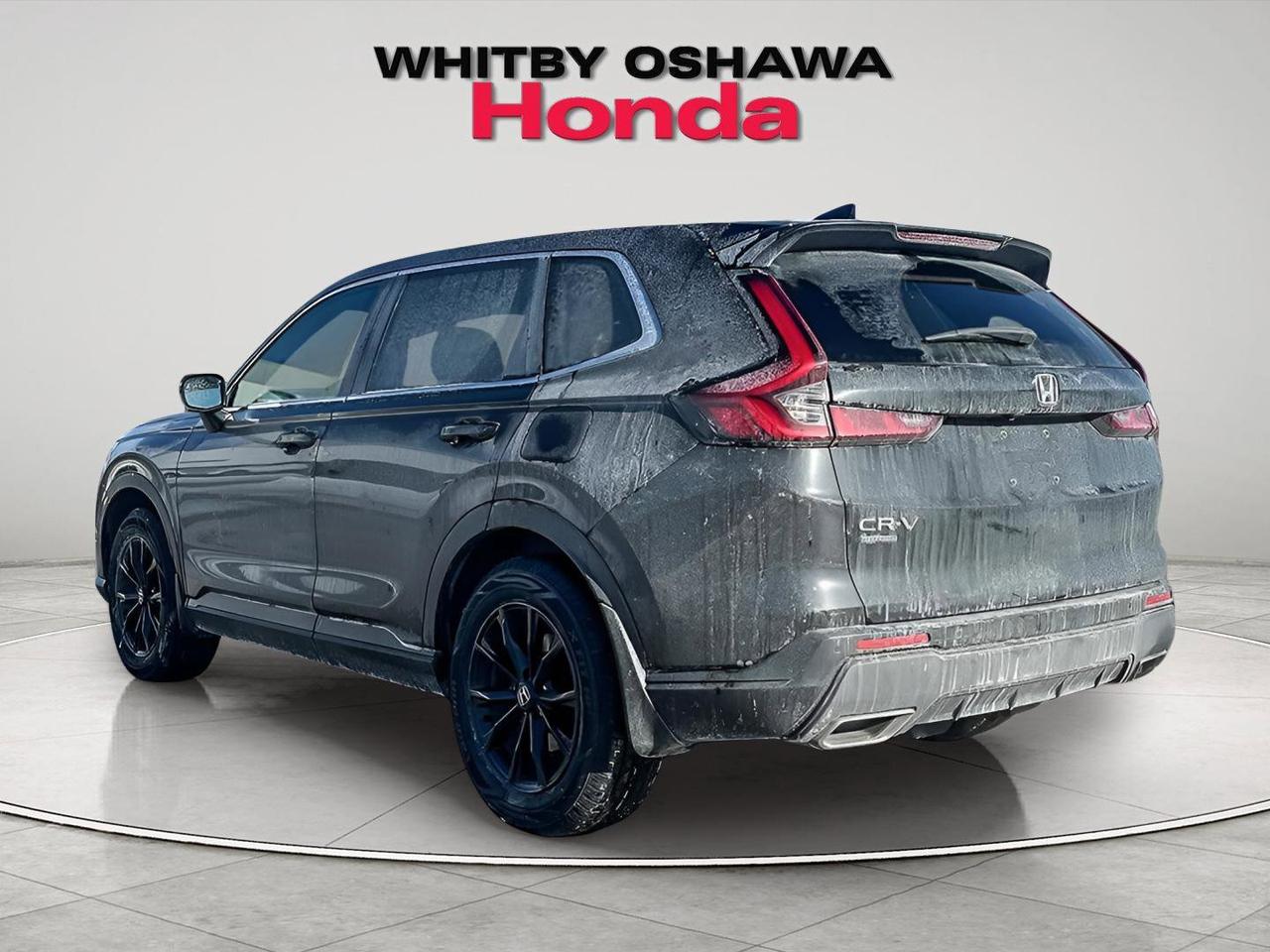 2024 Honda CR-V Hybrid EX-L Photo