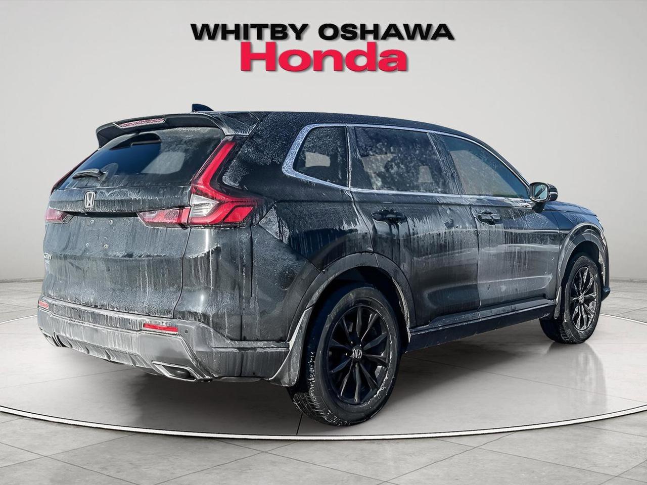 2024 Honda CR-V Hybrid EX-L Photo