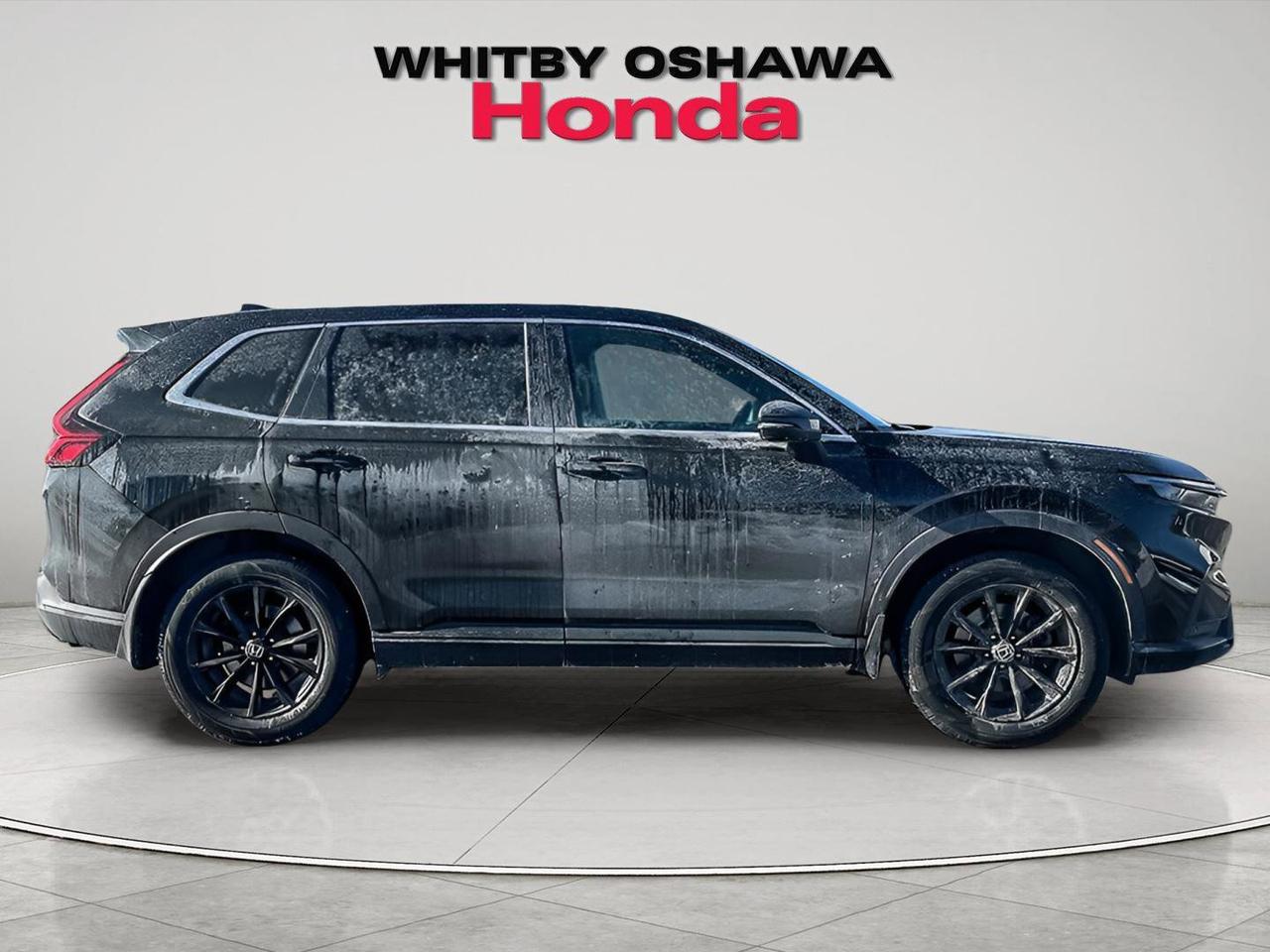 2024 Honda CR-V Hybrid EX-L Photo