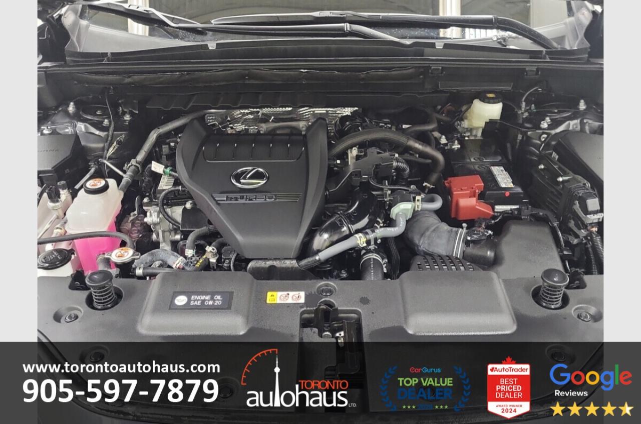 2024 Lexus NX 350 Luxury PKG I Red Interior I Panoramic I NAVI Photo