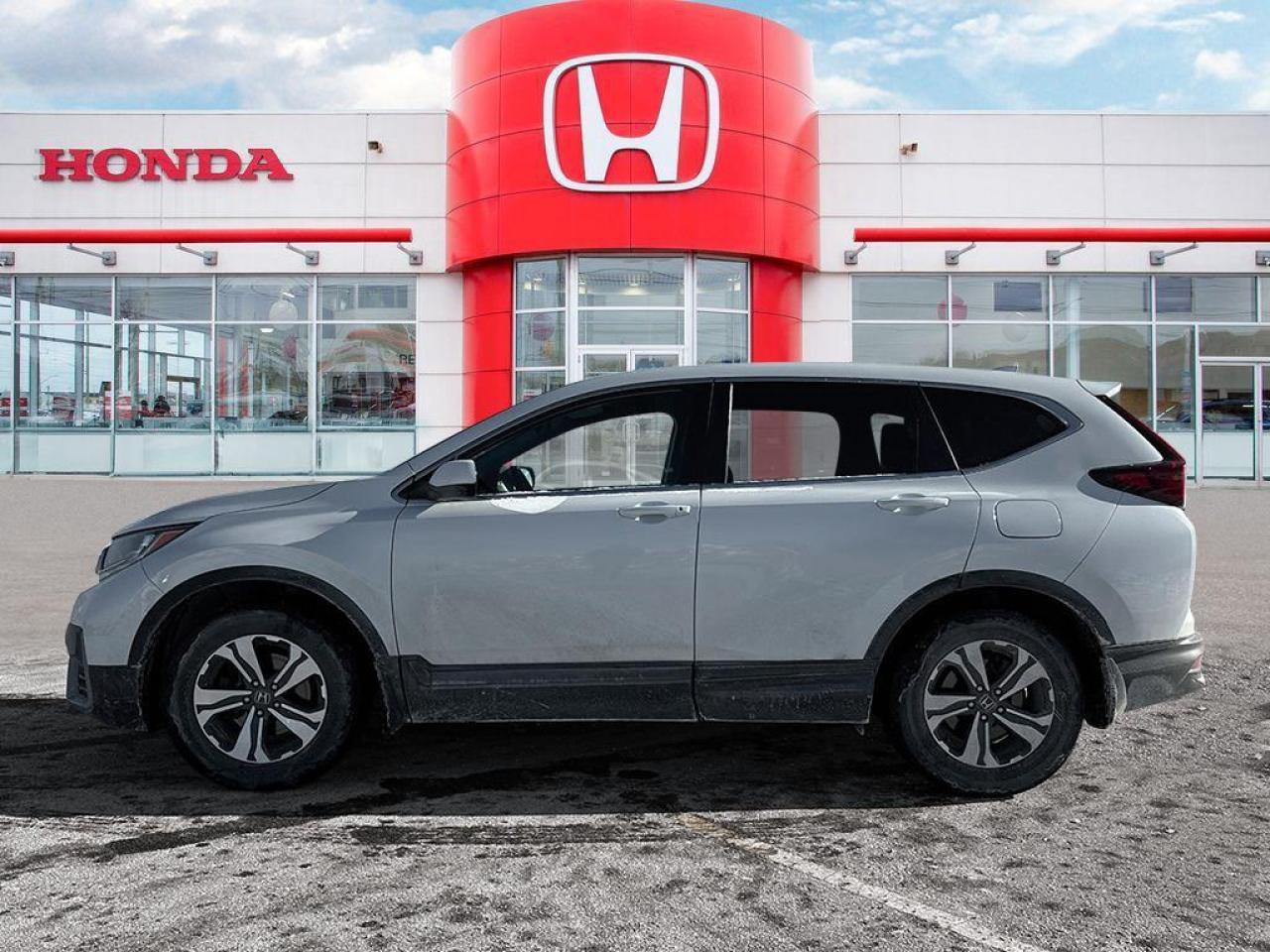 2022 Honda CR-V LX Photo