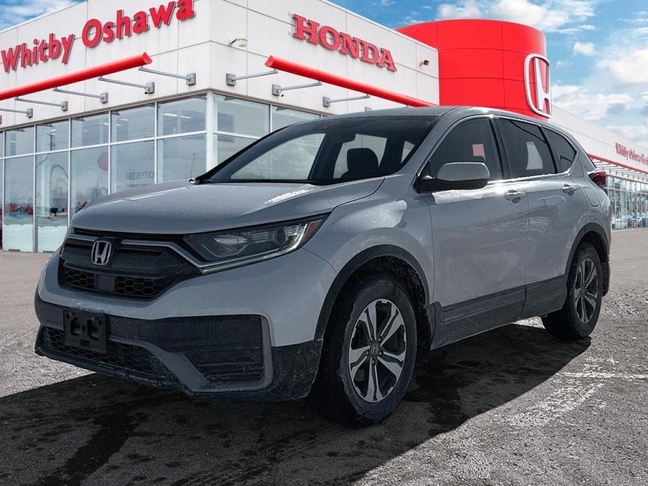 2022 Honda CR-V LX Photo