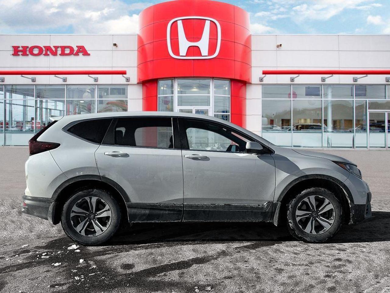 2022 Honda CR-V LX Photo