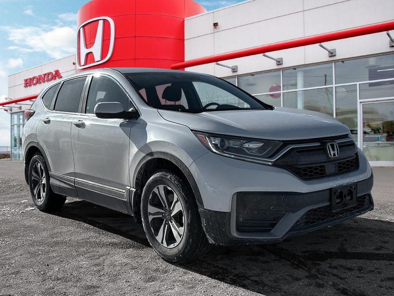 2022 Honda CR-V LX Photo