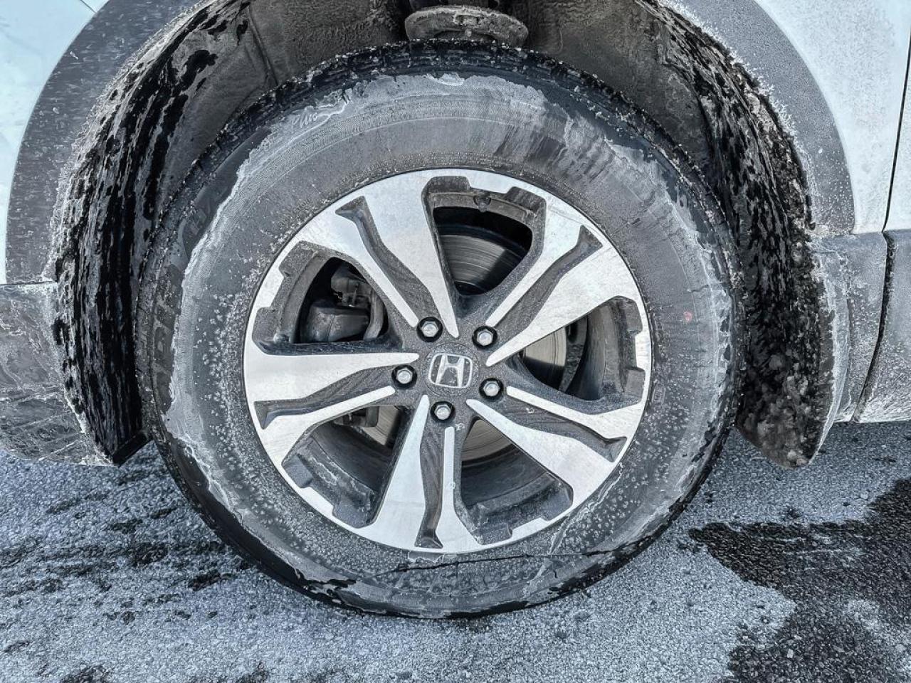 2022 Honda CR-V LX Photo