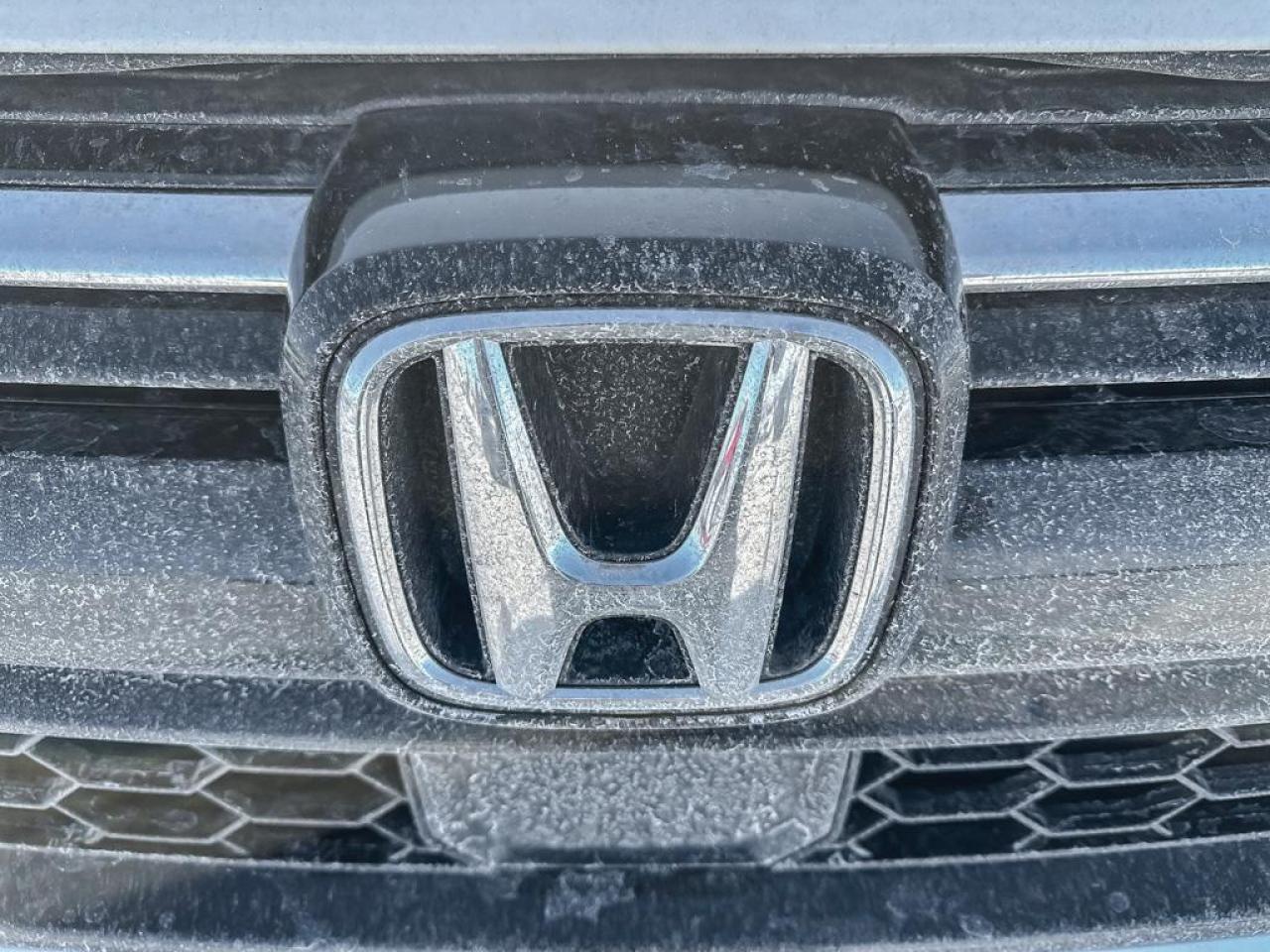 2022 Honda CR-V LX Photo