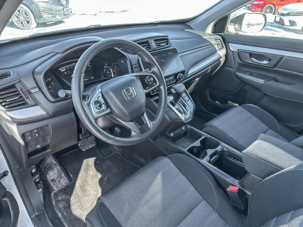 2022 Honda CR-V LX Photo