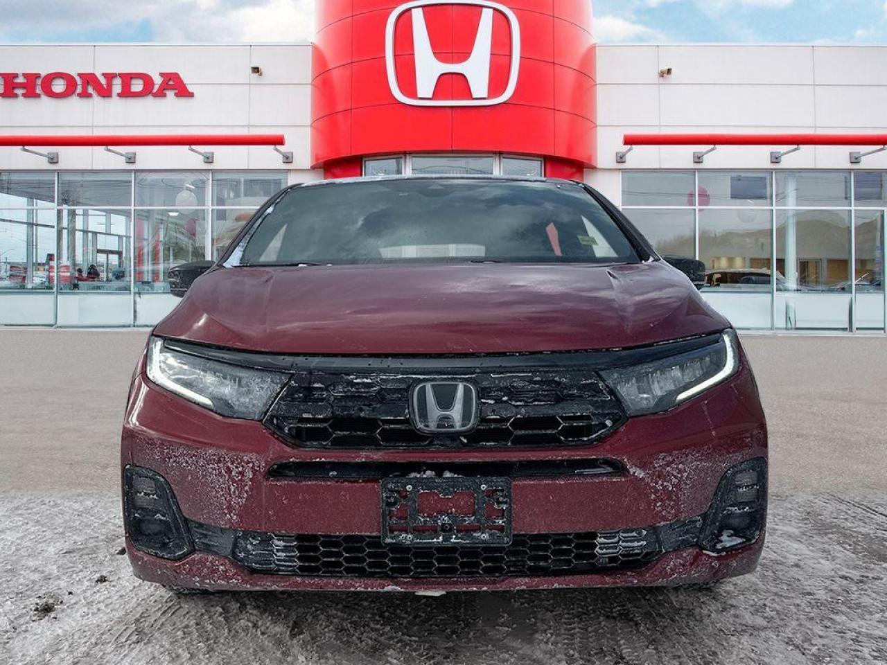 2025 Honda Odyssey Black Edition Photo