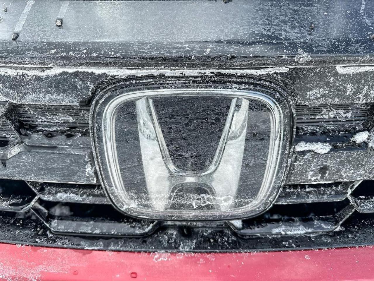 2025 Honda Odyssey Black Edition Photo