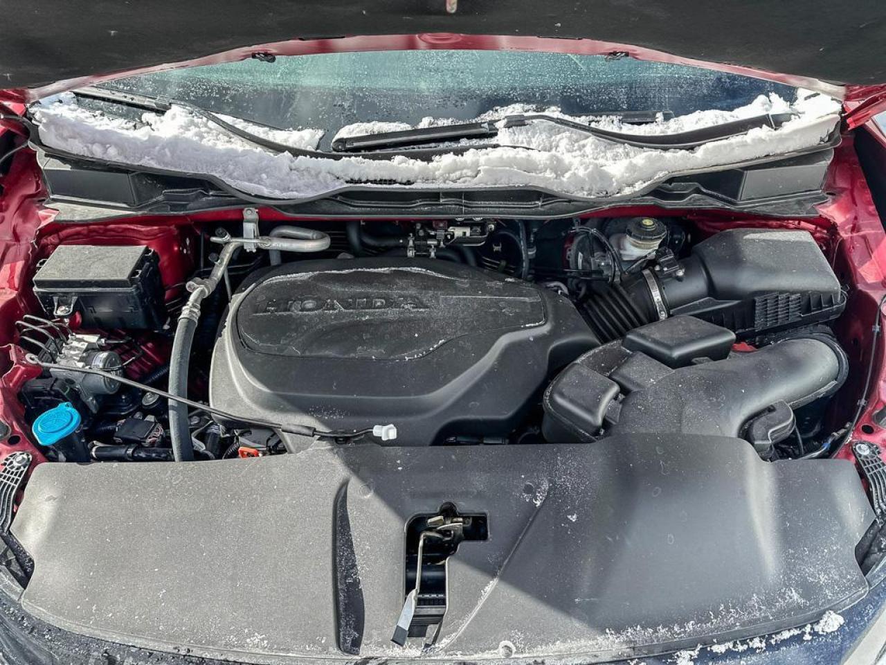 2025 Honda Odyssey Black Edition Photo