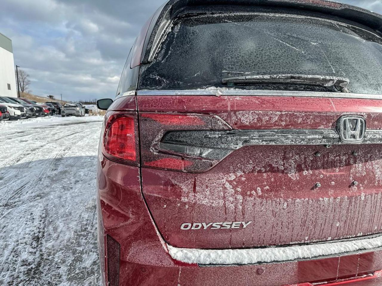 2025 Honda Odyssey Black Edition Photo