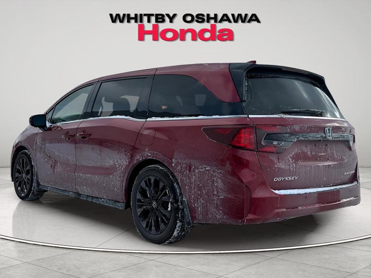2025 Honda Odyssey Black Edition Photo